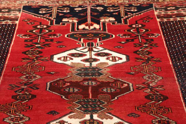 Shiraz - 7