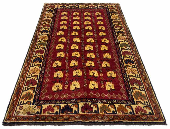 Shiraz - 1