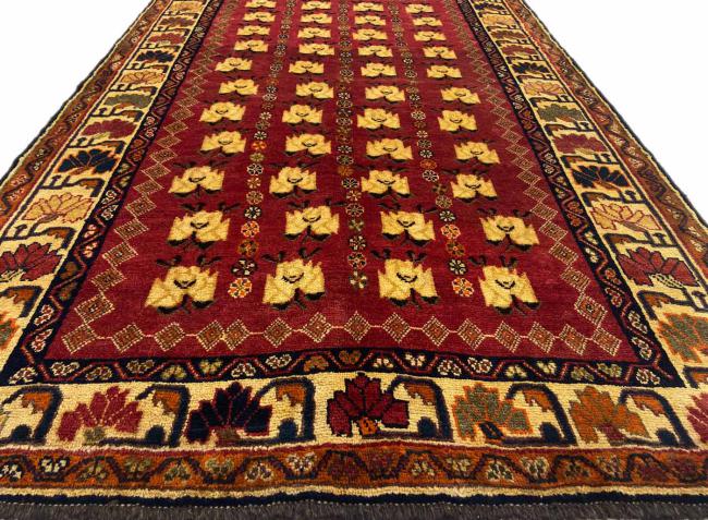 Shiraz - 4