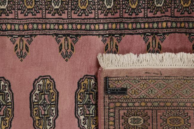 Pakistan Buchara 2ply - 1