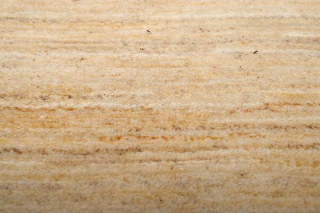 Persian Gabbeh Kashkuli - 5