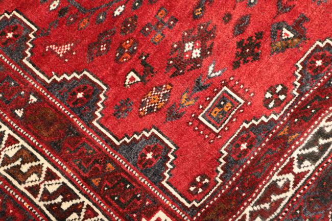 Shiraz - 5
