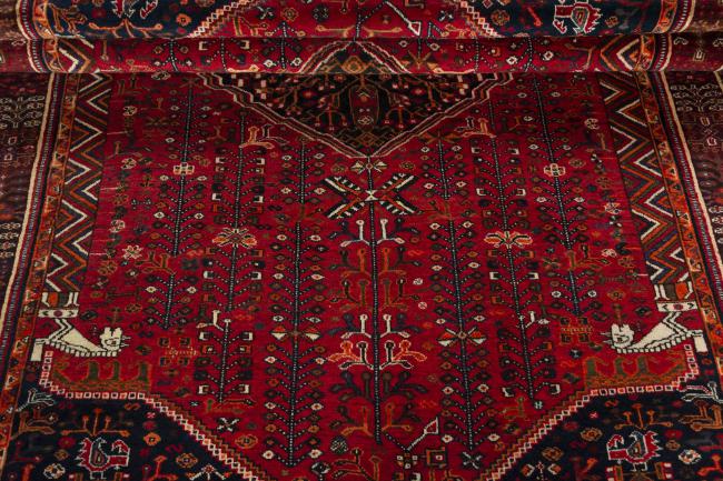 Shiraz - 8