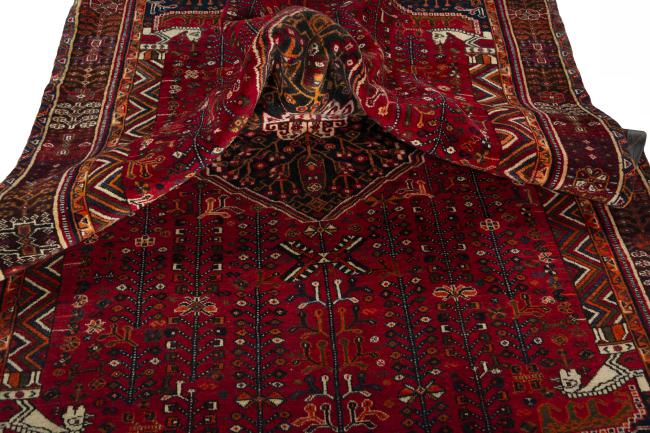 Shiraz - 9