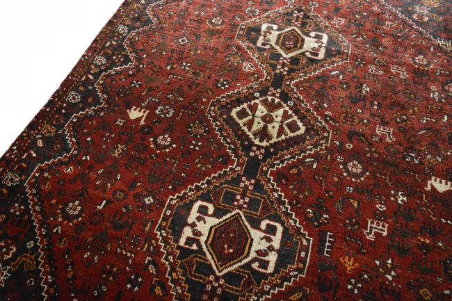 Shiraz - 4