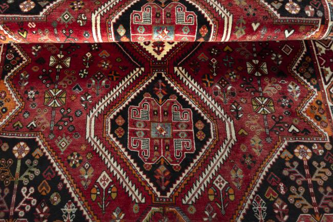 Shiraz - 8