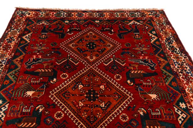 Shiraz - 8