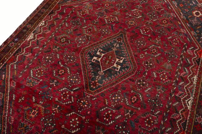 Shiraz - 4