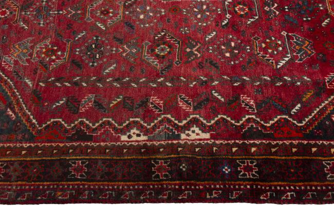 Shiraz - 7