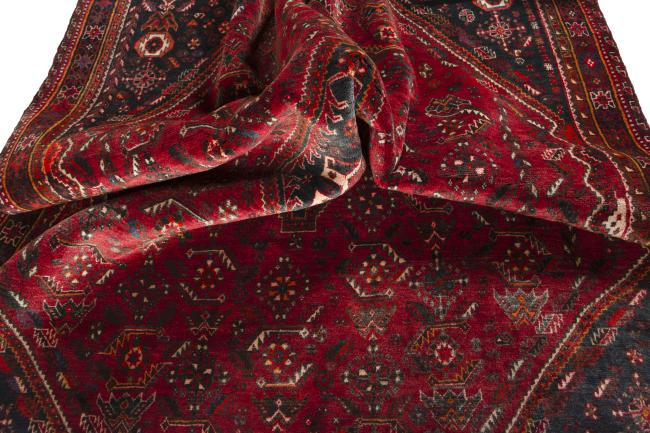 Shiraz - 9