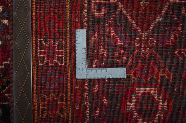 Shiraz - 10