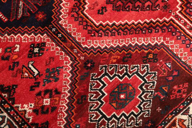 Shiraz - 5