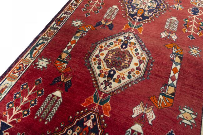 Shiraz - 4
