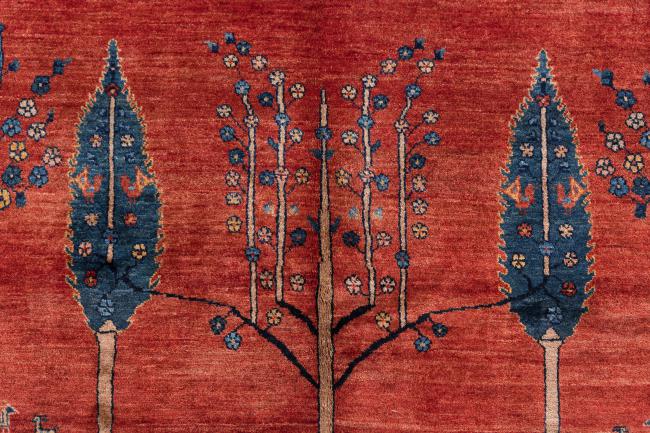 Περσία Γκάμπεθ Loribaft Z - 7