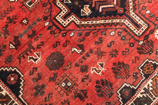 Shiraz - 5
