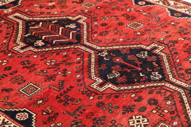 Shiraz - 6
