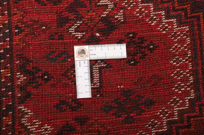 Shiraz - 10