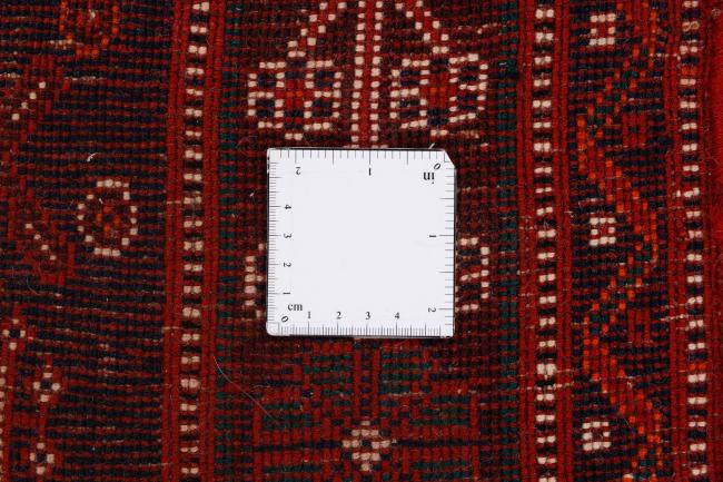 Shiraz - 11