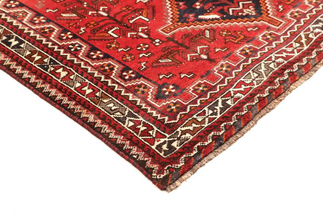 Shiraz - 4