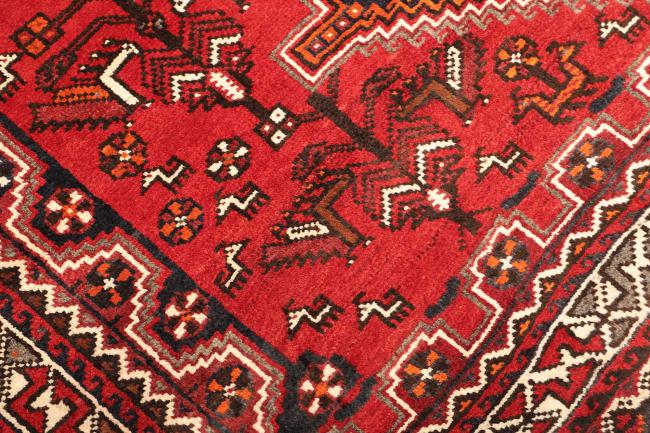 Shiraz - 5