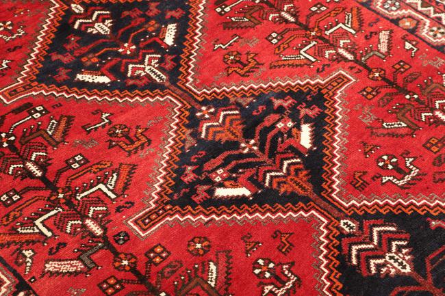 Shiraz - 6