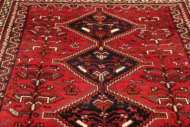Shiraz - 7
