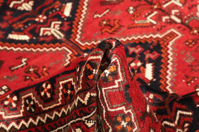 Shiraz - 8