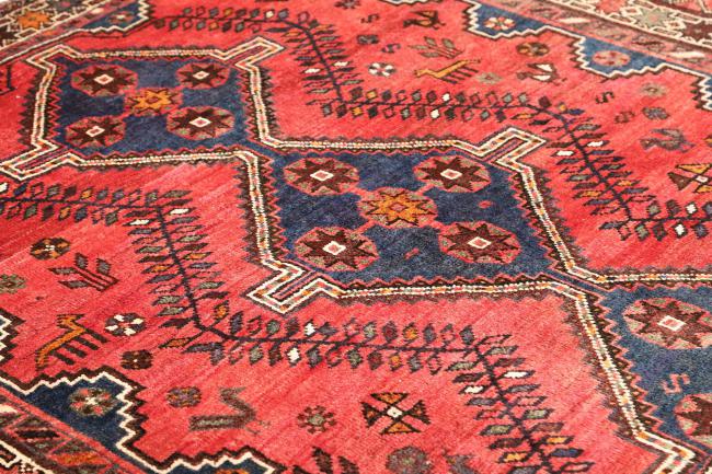 Shiraz - 6