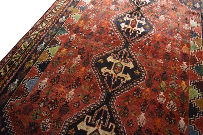 Shiraz - 5