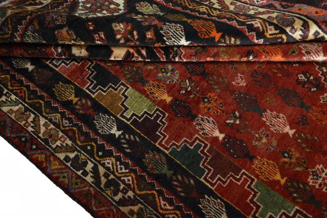 Shiraz - 8