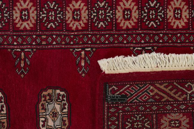 Pakistan Buchara 3ply - 1
