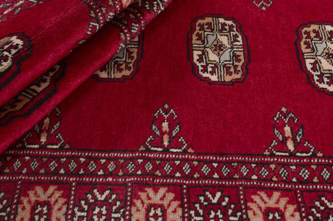 Pakistan Buchara 3ply - 2