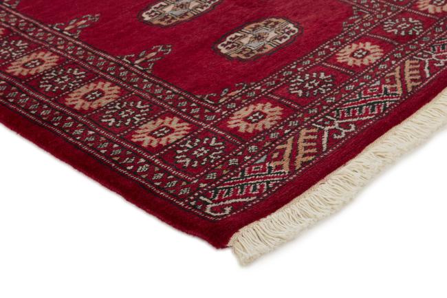 Pakistan Buchara 3ply - 3