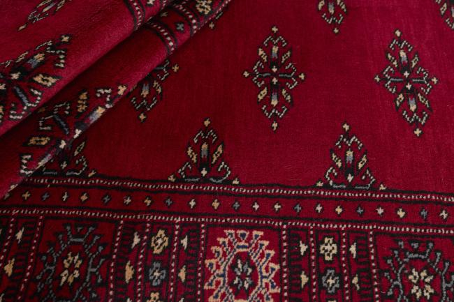 Pakistan Buchara 2ply - 2