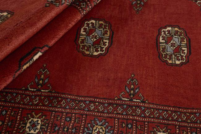 Pakistan Buchara 3ply - 2