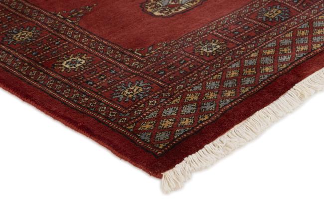 Pakistan Buchara 3ply - 3