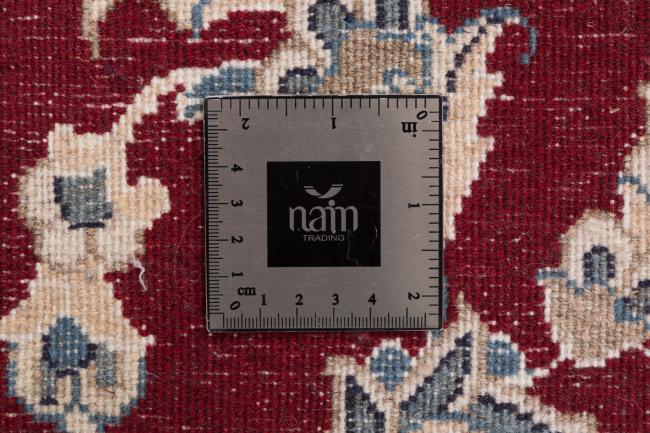 Naim - 6