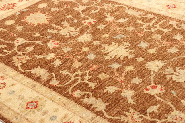 Ziegler Farahan - 10