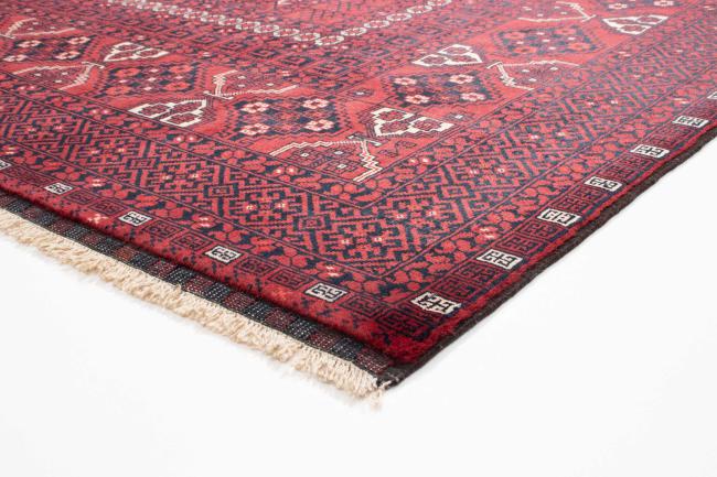 Afghan Mauri - 2