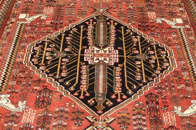 Shiraz - 4