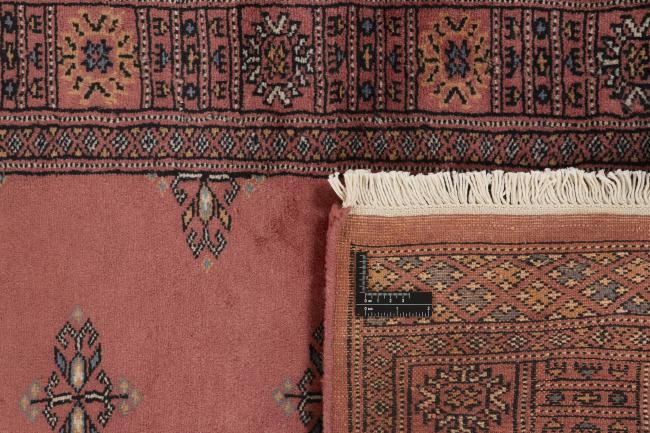 Pakistan Buchara 2ply - 1