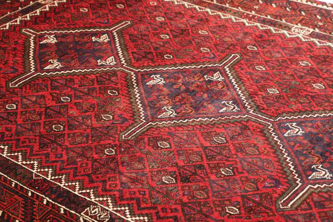 Shiraz - 6