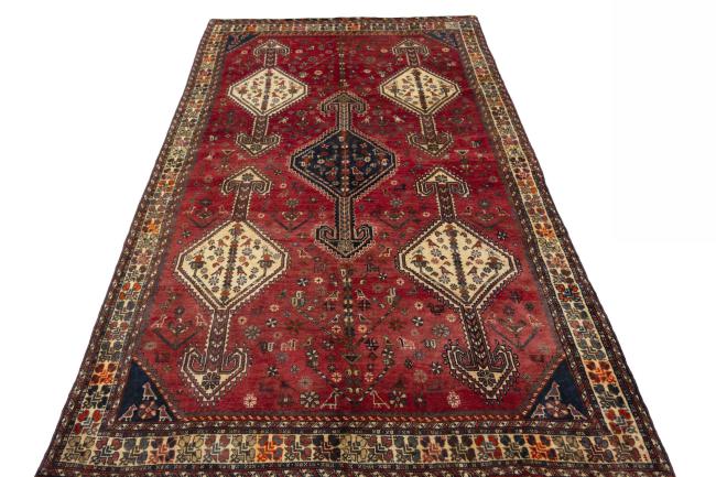 Shiraz - 4