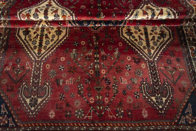 Shiraz - 8