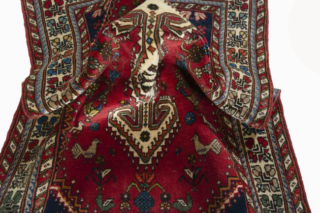 Shiraz - 8