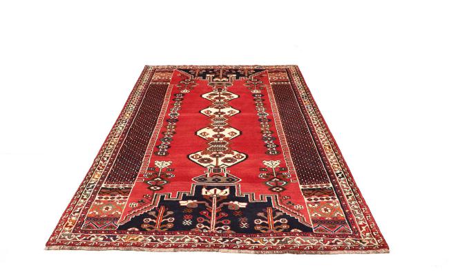 Shiraz - 3