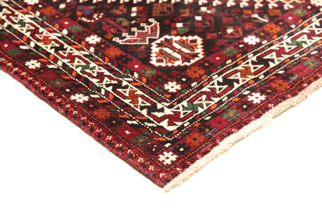 Shiraz - 4