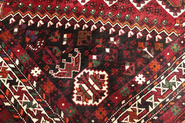 Shiraz - 5