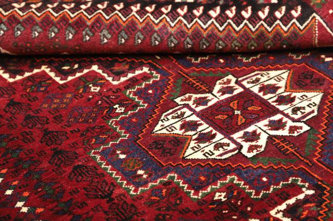 Shiraz - 9