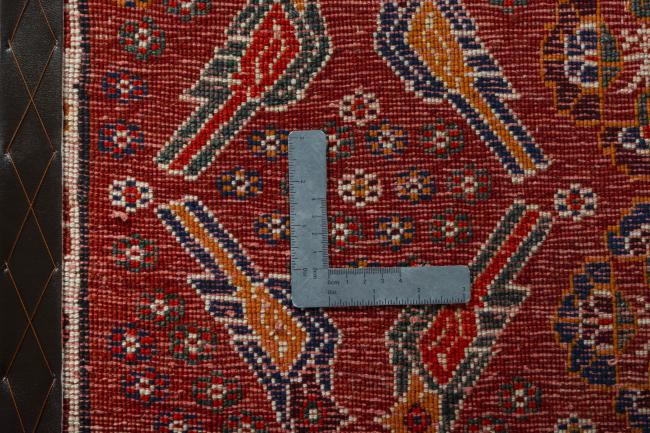 Shiraz - 4